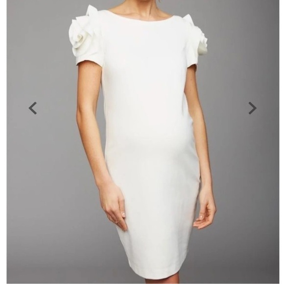 Pietro Brunelli Dresses & Skirts - Pietro Brunelli Salisburgo Rose Maternity Dress M